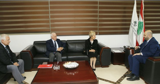 ناصر الدين بحث مع سفيرة منظمة مالطا في تطوير برامج التعاون