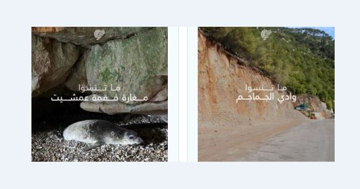 جمعية الأرض أملت من الحكومة استكمال تنفيذ قانون حماية البيئة في بصرما وعمشيت ووادي الجماجم