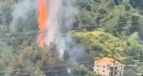 حريق في أحد أحراج دير دوريت