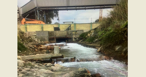 جمعية "بلادي خضرا" تدعو صدي الى محاسبة شركات الترابة بموجب قانون المياه